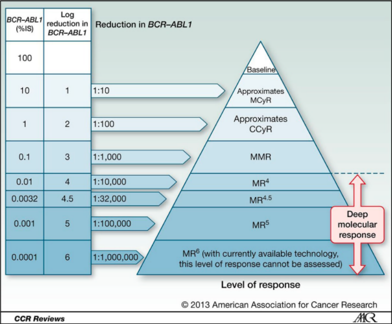 chronic myelogenous leukemia