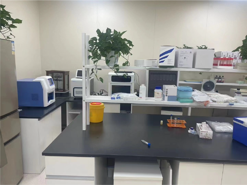 RainSure dPCR sepsis