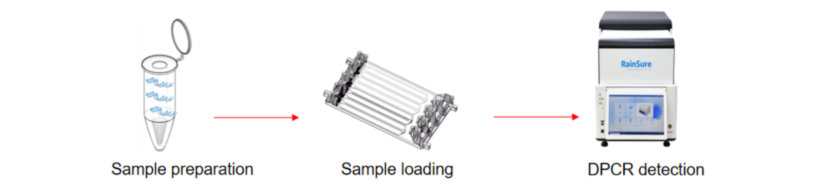 the workflow of digital PCR RS32 series