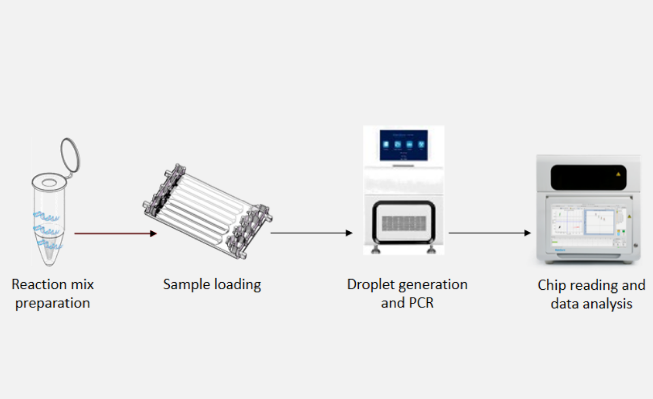 workflow of digital PCR DropDX series