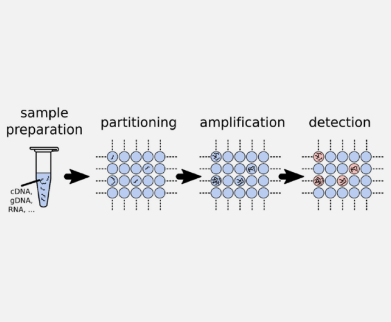 Digital PCR